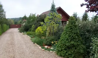 SUCHÝ - srub - foto číslo 32