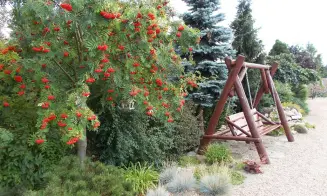 SUCHÝ - srub - foto číslo 35