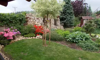 SUCHÝ - srub - foto číslo 18