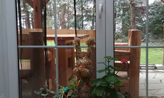 RYCHNOV - luxusní chalupa se zapuštěným bazénem - foto číslo 9