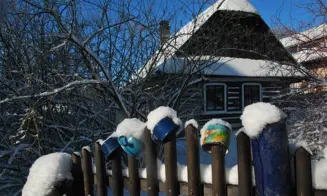 ČESKÁ RYBNÁ - roubenka - foto číslo 3
