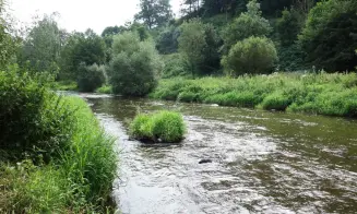 PETROVICE  - chalupa - bývalý mlýn - foto číslo 37