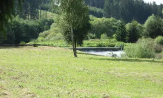 PETROVICE  - chalupa - bývalý mlýn - foto číslo 5