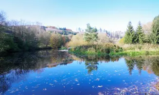 PETROVICE  - chalupa - bývalý mlýn - foto číslo 41