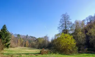 PETROVICE  - chalupa - bývalý mlýn - foto číslo 6