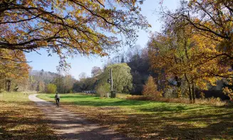 PETROVICE  - chalupa - bývalý mlýn - foto číslo 12