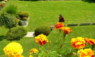 BŘEZÍ NAD OSLAVOU - chata - foto číslo 5