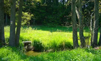 BŘEZÍ NAD OSLAVOU - chata - foto číslo 6