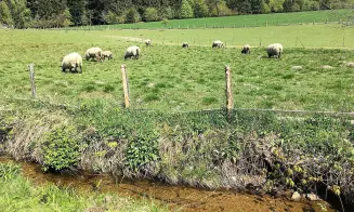 KARLOV - chalupa - foto číslo 8