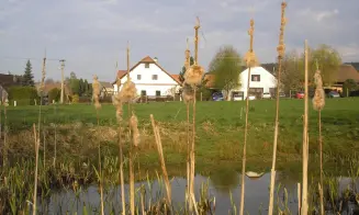 JIMRAMOVSKÉ PAVLOVICE - apartmány - foto číslo 9