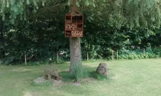BŘEZINY U POLIČKY - chata - foto číslo 25