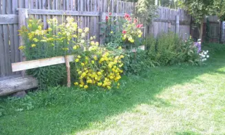 KŘIŽÁNKY - chata u řeky Svratky - foto číslo 8