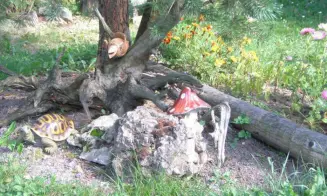 KŘIŽÁNKY - chata u řeky Svratky - foto číslo 4