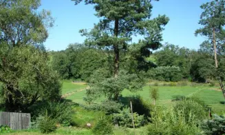 KŘIŽÁNKY - chata u řeky Svratky - foto číslo 6