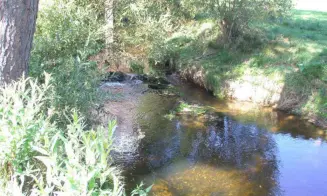 KŘIŽÁNKY - chata u řeky Svratky - foto číslo 21