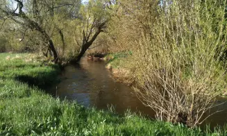 KŘIŽÁNKY - chata u řeky Svratky - foto číslo 7