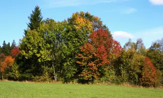 VADČICE - chalupa - foto číslo 1