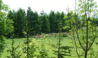 OKAREC - rekreační dům bez majitele - foto číslo 16