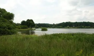 OKAREC - rekreační dům bez majitele - foto číslo 33