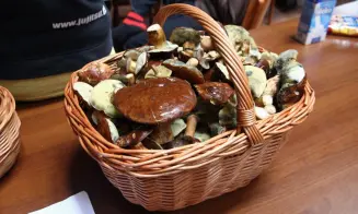 HERÁLEC - chalupa - foto číslo 33