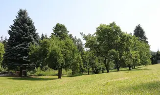 ZUBŘÍ *** - chata - foto číslo 32