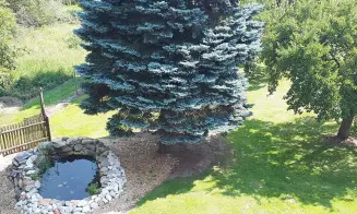 ZUBŘÍ *** - chata - foto číslo 41