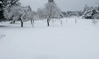 ZUBŘÍ *** - chata - foto číslo 40