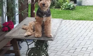 VELKÁ HLEĎSEBE - pension - foto číslo 4