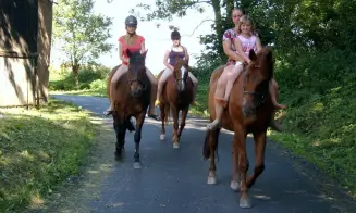 TOUŽIM - penzion - foto číslo 23