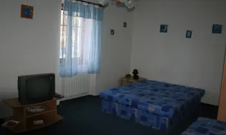 TOUŽIM - penzion - foto číslo 6